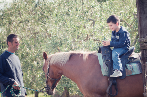 Horses Providing Healing and Comfort for TBI Victims