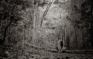 Traumatic Brain Injury - Audrey Bell Photography in the forest